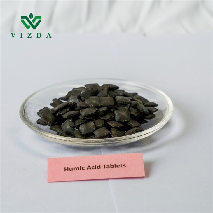 Organic Humic Acid Tablet