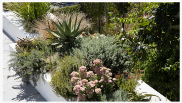 Πώς να μετατρέψετε ένα αφιλόξενο Hellstrip σε μια ελκυστική επέκταση της αυλή...