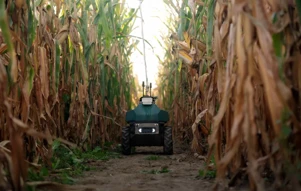 Η Upside Robotics στοχεύει τα απόβλητα λιπασμάτων στο καλαμπόκι με αυτόνομα ρ...