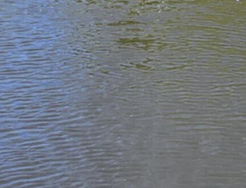 Η απορροή λιπασμάτων σε πραγματικό χρόνο έχει τοποθετηθεί με-Εργαστήριο Οθόνε...